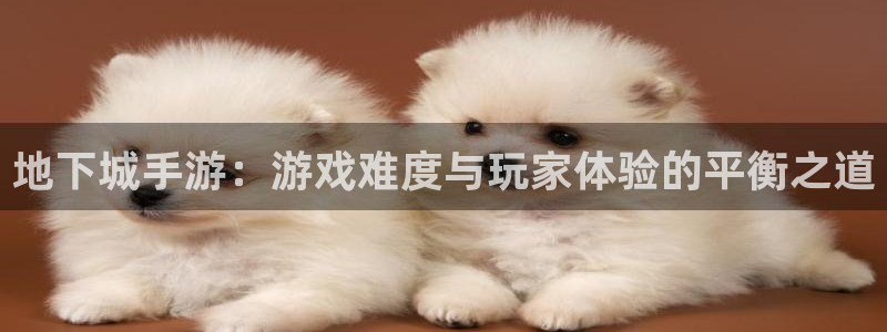 巅峰国际app：地下城手游：游戏难度与玩家体验的平衡之道