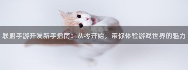 巅峰国际平台：联盟手游开发新手指南：从零开始，带你体验游戏世
