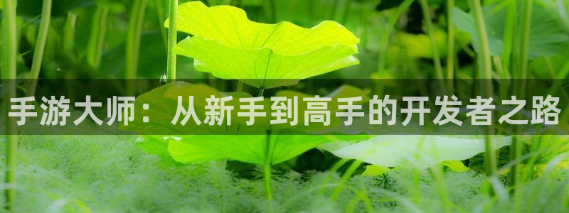 巅峰国际官网：手游大师：从新手到高手的开发者之路