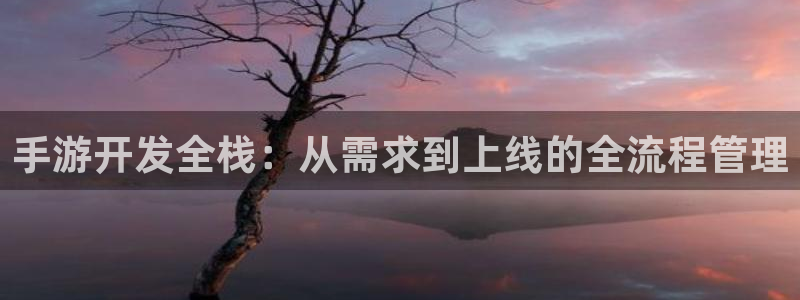 巅峰国际app：手游开发全栈：从需求到上线的全流程管理