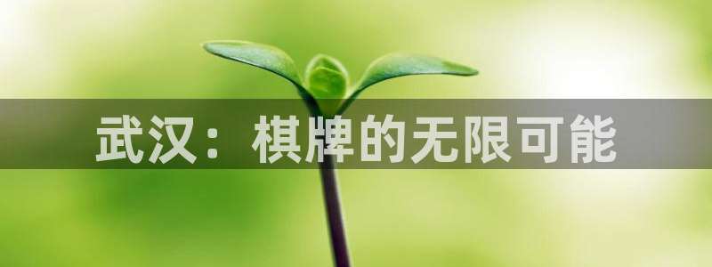 巅峰国际登录：武汉：棋牌的无限可能