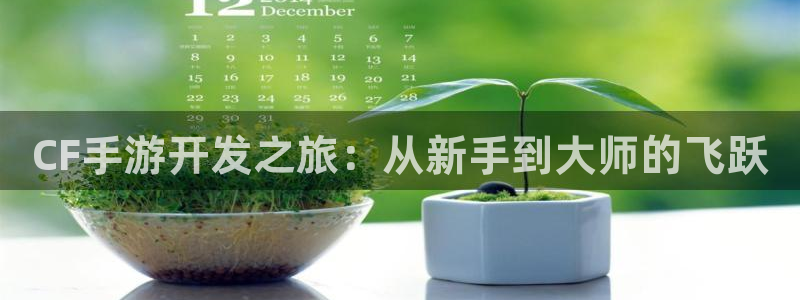 巅峰国际：CF手游开发之旅：从新手到大师的飞跃