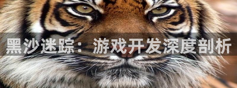 巅峰国际注册：黑沙迷踪：游戏开发深度剖析