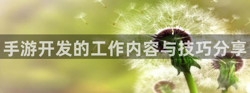 巅峰国际app：手游开发的工作内容与技巧分享