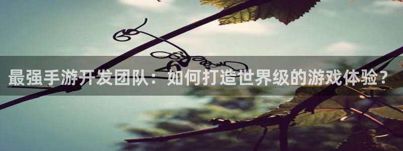 巅峰国际下载：最强手游开发团队：如何打造世界级的游戏体验？