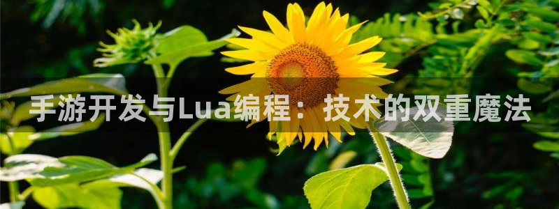 巅峰国际首页：手游开发与Lua编程：技术的双重魔法