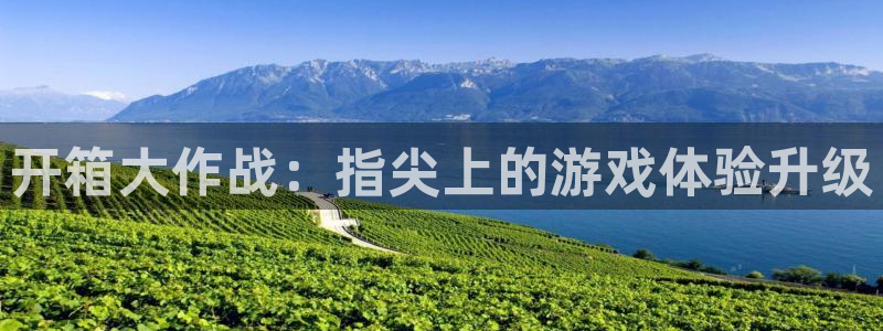 巅峰国际app：开箱大作战：指尖上的游戏体验升级