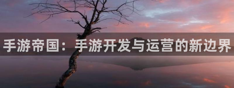 巅峰国际注册：手游帝国：手游开发与运营的新边界