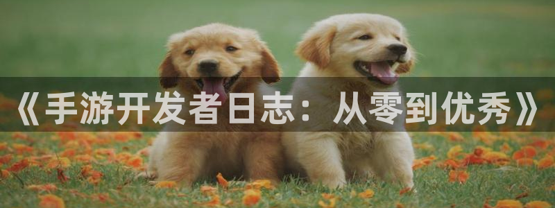 巅峰国际登录：《手游开发者日志：从零到优秀》