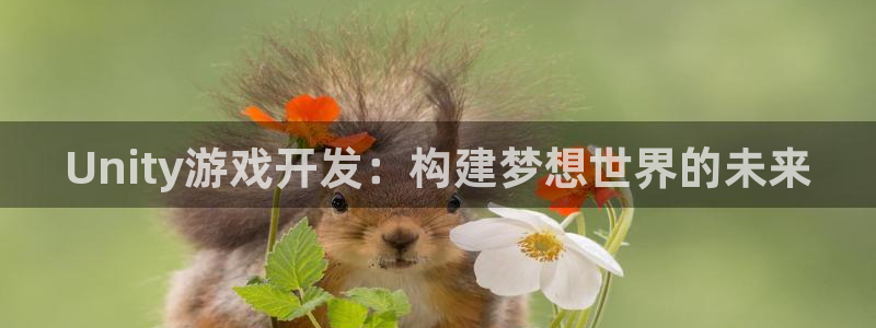 巅峰国际下载：Unity游戏开发：构建梦想世界的未来