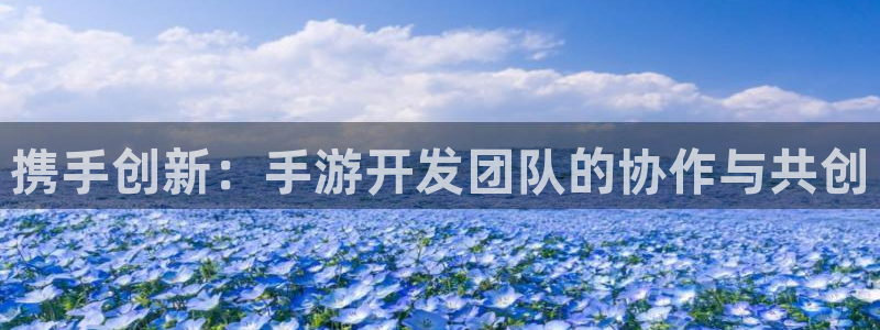 巅峰国际注册：携手创新：手游开发团队的协作与共创