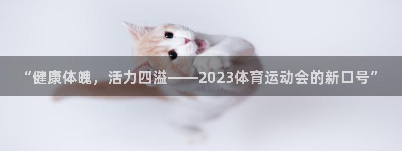 风速体育app下载官网最新版