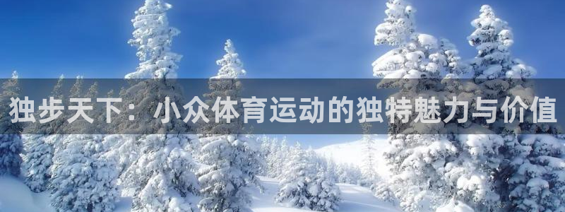 风速体育