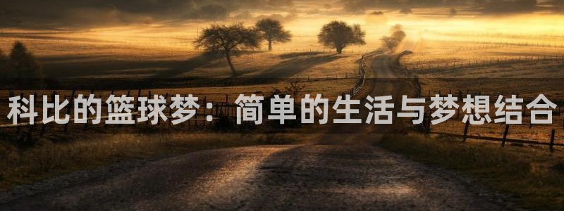 风速体育app下载安装最新版本
