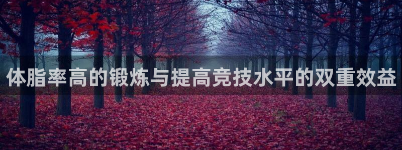 风速体育直播app