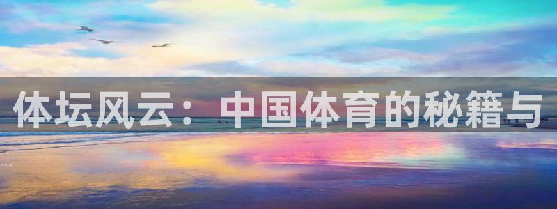 风速体育