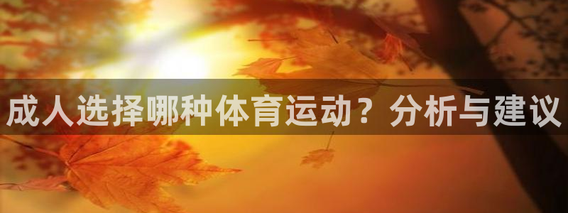 风速体育官网