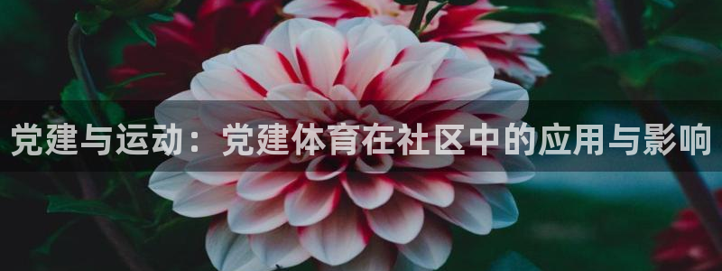 风速体育app下载官网最新版
