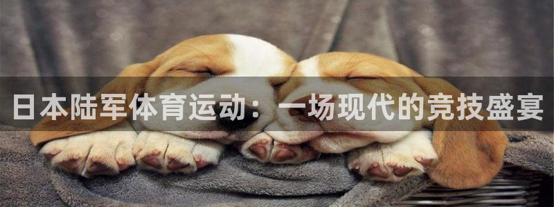 风速体育nba直播