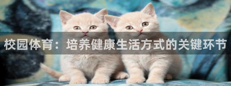风速体育app下载官网最新版