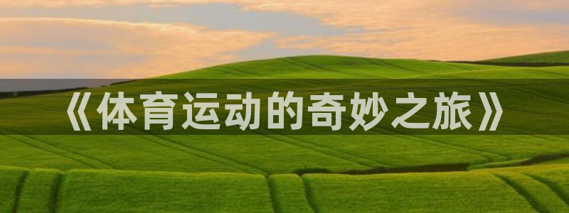 风速体育官网